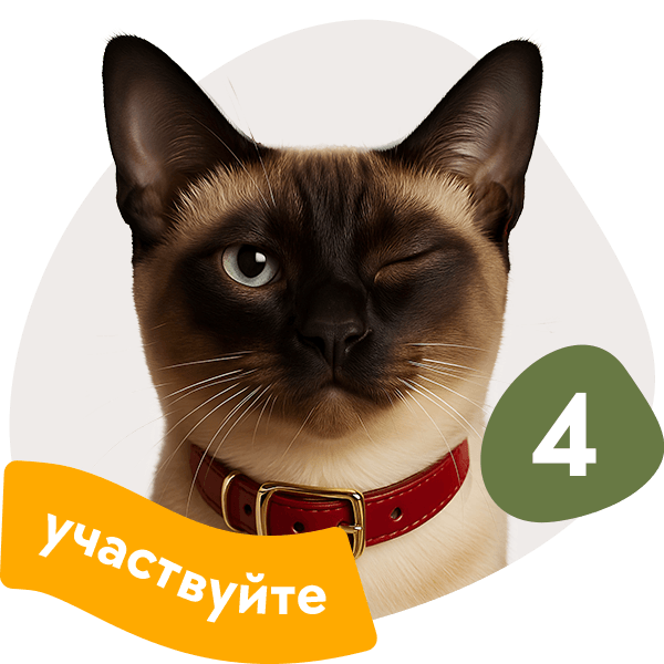 Приглашайте друзей