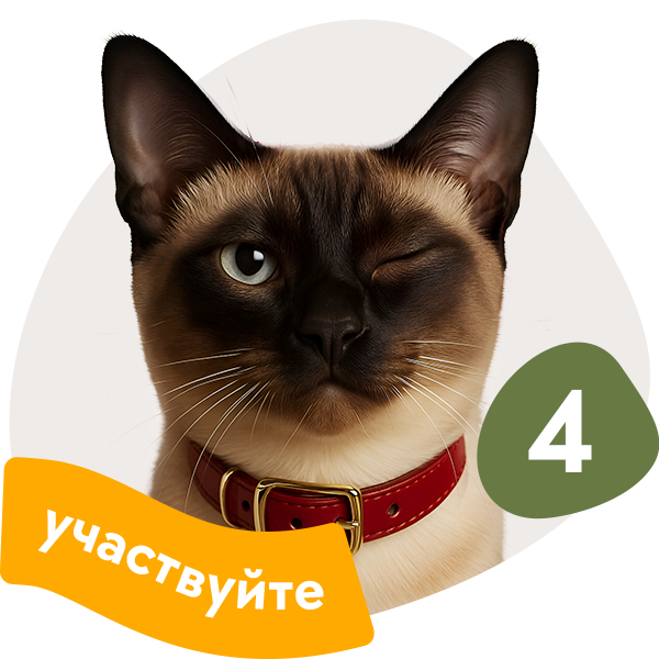 Приглашайте друзей
